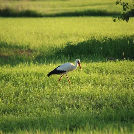 Altes Kommandeurhaus In Werben An Der Elbe *