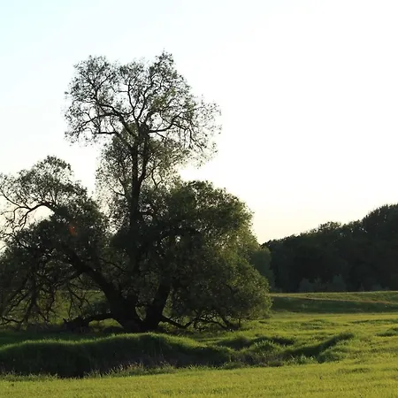 Vakantiehuis Altes Kommandeurhaus In Werben An Der Elbe