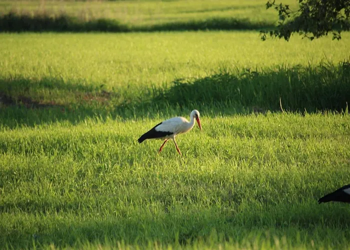 Altes Kommandeurhaus In Werben An Der Elbe *