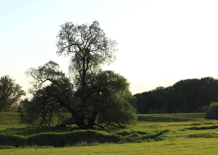 Casa vacanze Altes Kommandeurhaus In Werben An Der Elbe