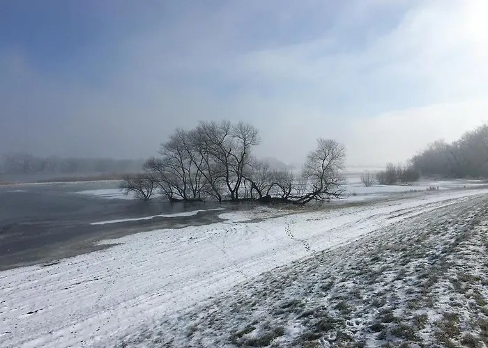 Casa vacanze Altes Kommandeurhaus In Werben An Der Elbe *
